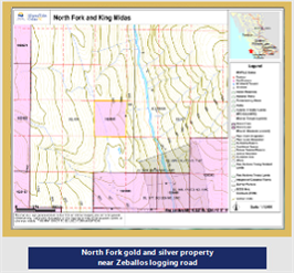 North Fork Gold and silver properties